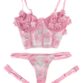 Lenceria sexy -SW (1)