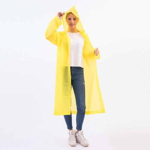 Sk00002648_1 Sk00002648_1