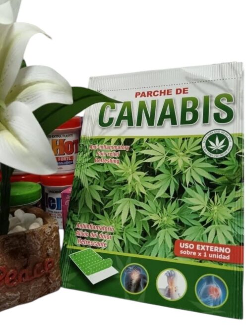 WhatsApp Image 2025-09-02 at 13.04.46 WhatsApp Image 2025-09-02 at 13.04.46