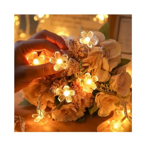 Sk00006050_6 Sk00006050_6