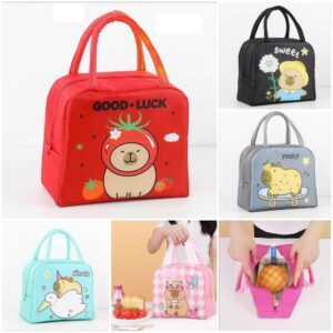 Lonchera térmica bolso de mano fiambrera