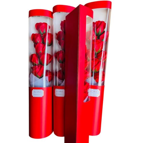 Sk00006600_3 Sk00006600_3