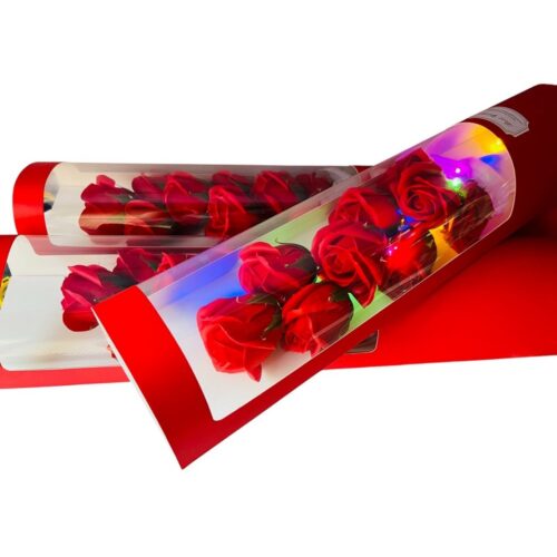 Sk00006600_5 Sk00006600_5