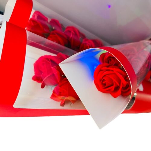 Sk00006600_6 Sk00006600_6