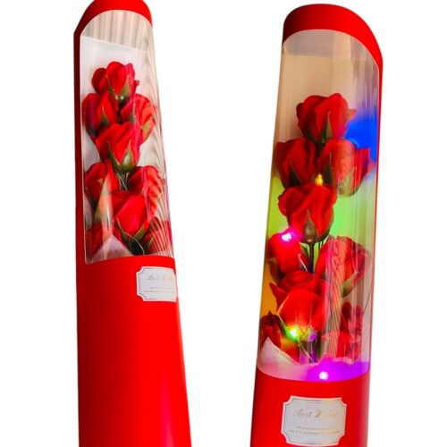 Sk00006600_7 Sk00006600_7