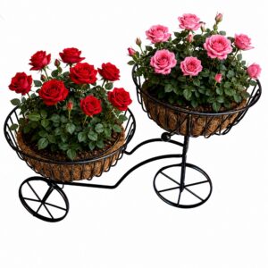 Frutero Triciclo decorativo con 2 cestos encimeras de metal