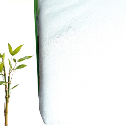 Sk00007131_2 Sk00007131_2